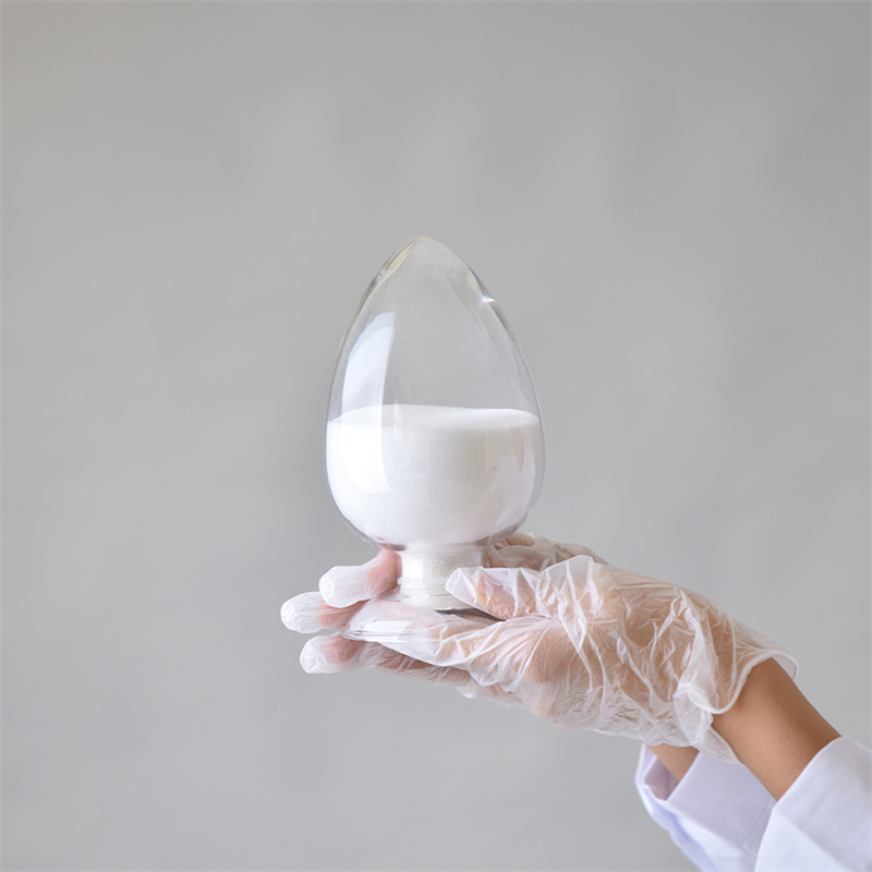 1(ALPHA) 25-DIHYDROXYVITAMIN D2* CAS 60133-18-8